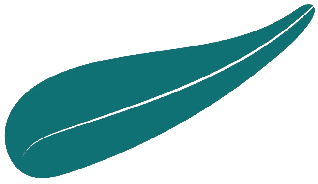 comma Agent logo